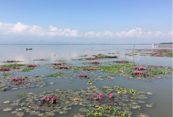 Phayao Lake 5