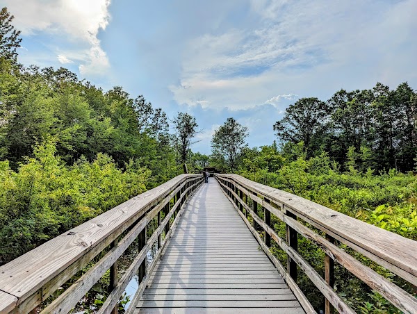 Great Swamp Wildlife Observation Center 1