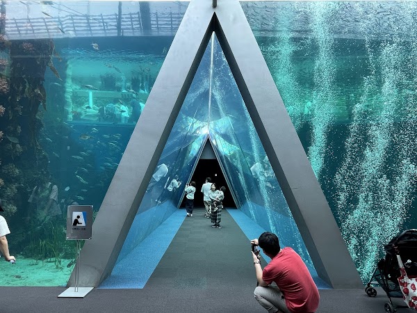 Aquamarine Fukushima 4