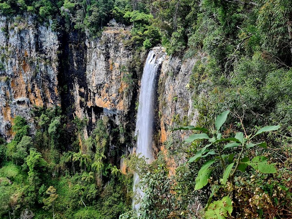 Purling Brook Falls, Springbrook National Park 5
