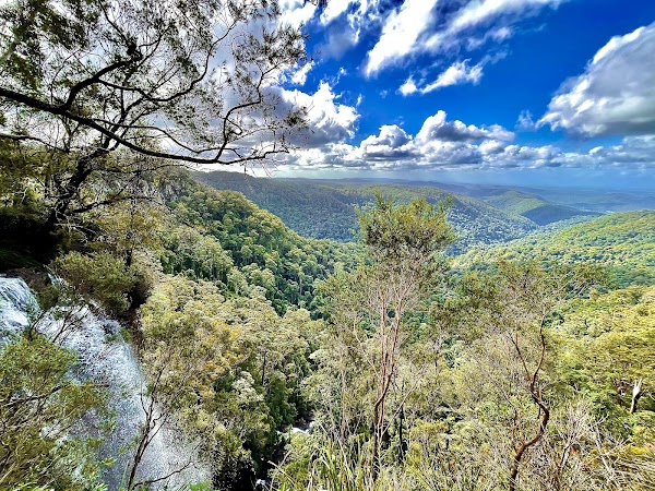 Purling Brook Falls, Springbrook National Park 4
