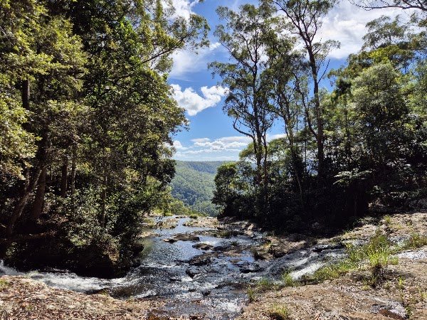 Purling Brook Falls, Springbrook National Park 3