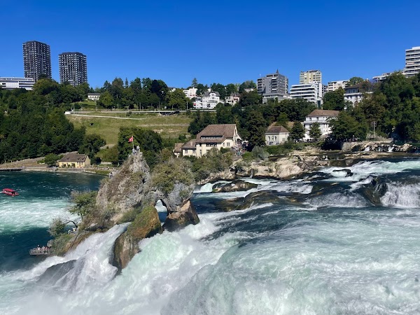 Rhine Falls 5