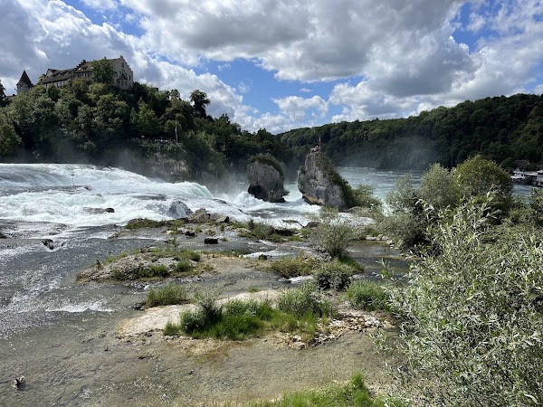 Rhine Falls 4