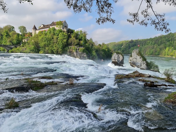 Rhine Falls 3