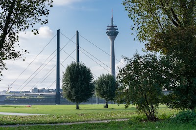 Rhine Tower 2