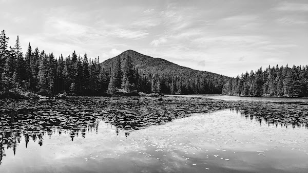 Unknown Pond Tentsite 4