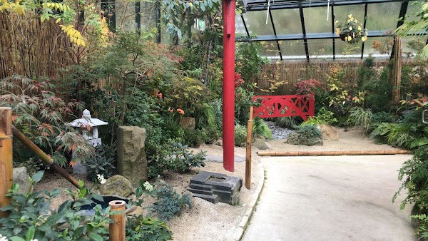 Pukekura Park Fernery and Display Houses 1