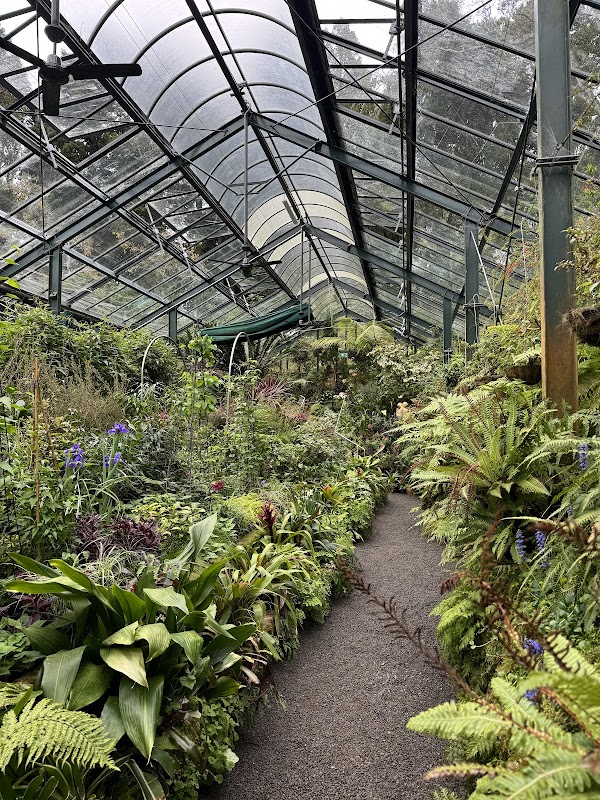 Pukekura Park Fernery and Display Houses 5