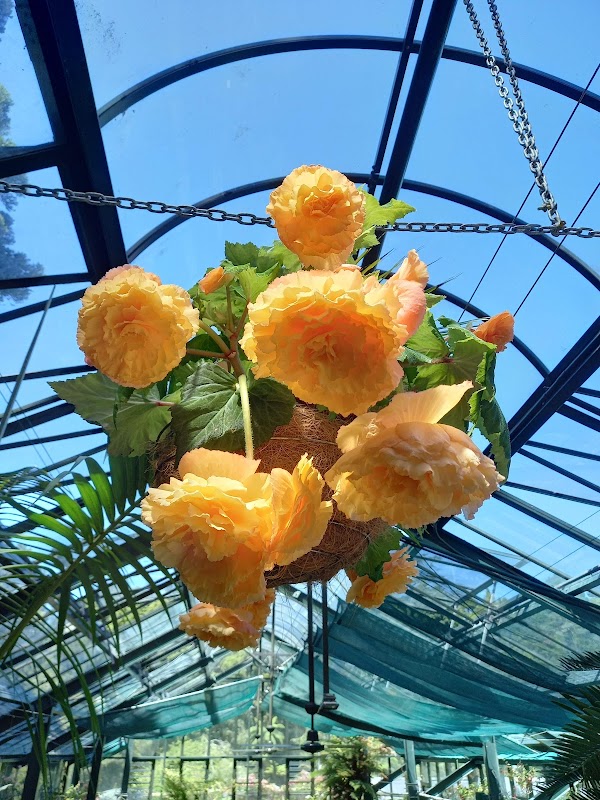 Pukekura Park Fernery and Display Houses 3