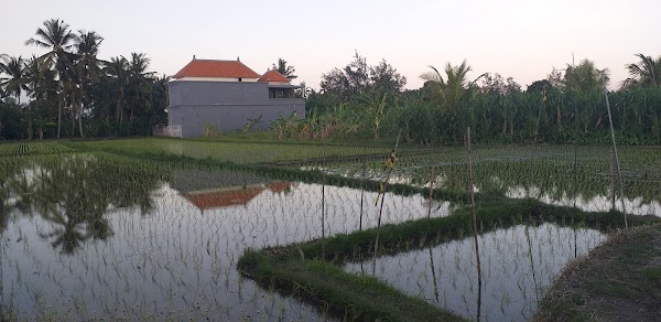 Balai Banjar Desa Medahan