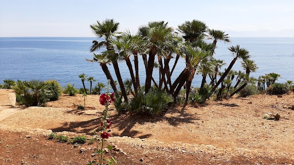 Riserva Naturale dello Zingaro - Versante Ovest 2