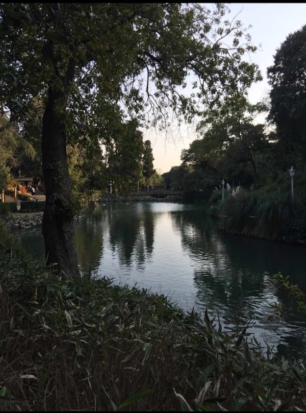 Yıldız Korusu