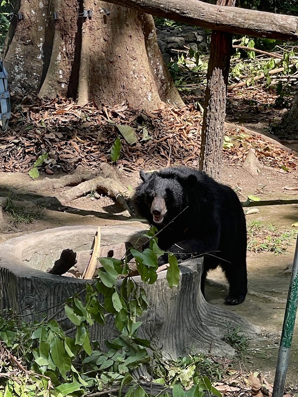 Tat Kuang Si Bear Rescue Centre, Free the Bears 5