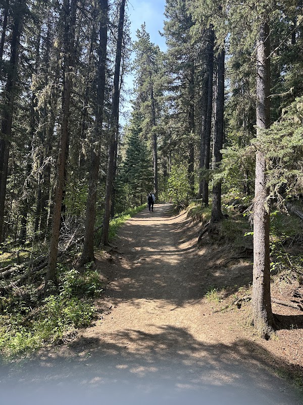 Fullerton Loop Hiking Trail 4