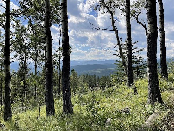 Fullerton Loop Hiking Trail 3