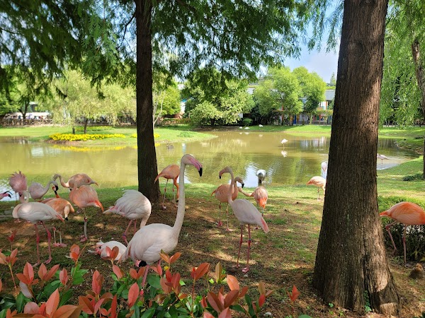 Suncheon Bay National Garden 4