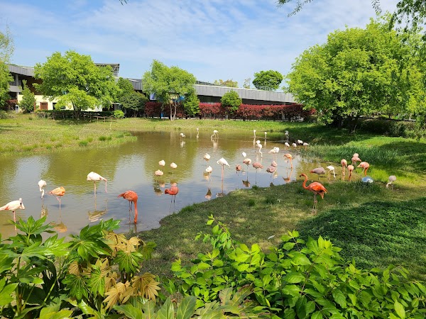 Suncheon Bay National Garden 3