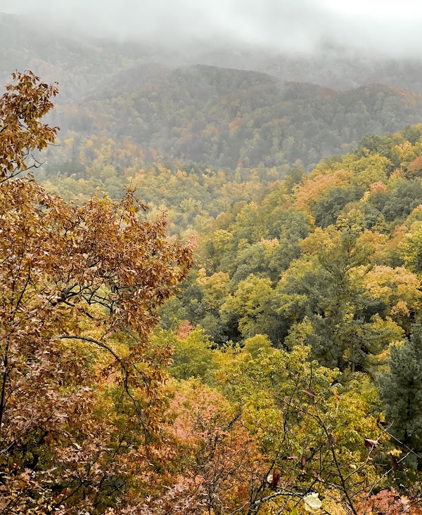 Laurel Falls Trail 5