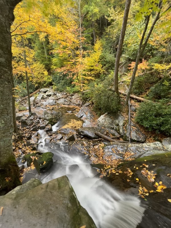 Laurel Falls Trail 4