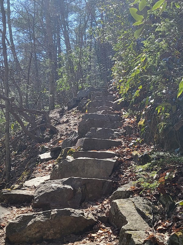 Laurel Falls Trail 2