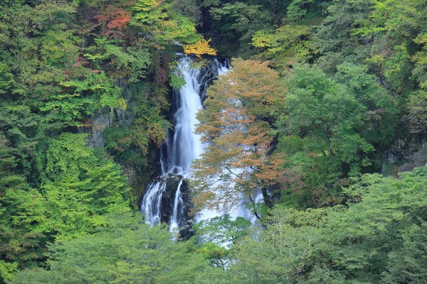 Kirifuri Falls 5