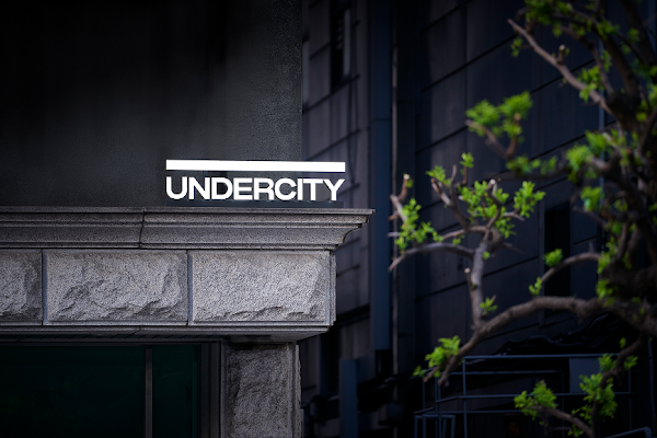 UNDERCITY 5