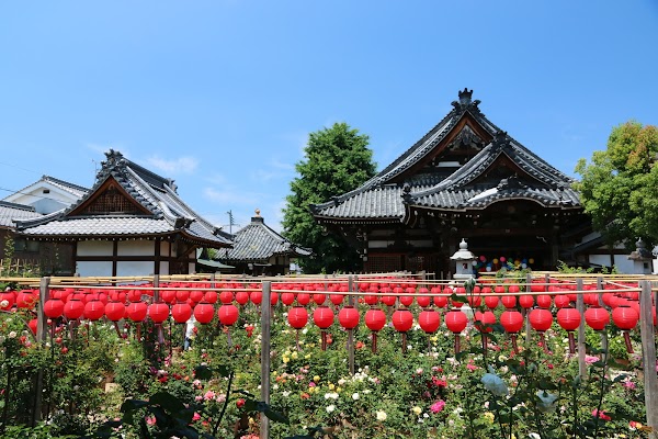 Ofusa Kannon Temple 4