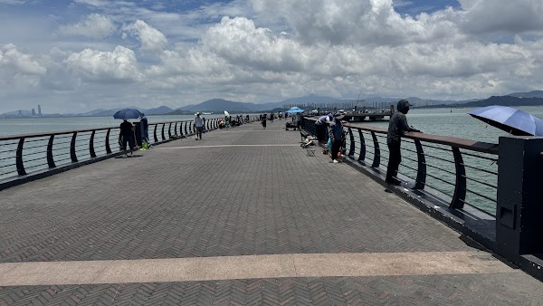 Shenzhen Bay Park 4