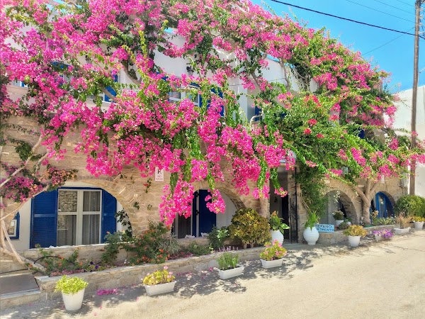 Lefkes 2