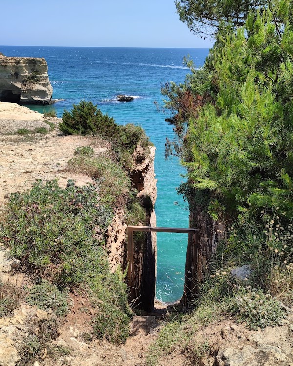 Faraglioni di Sant'Andrea 5