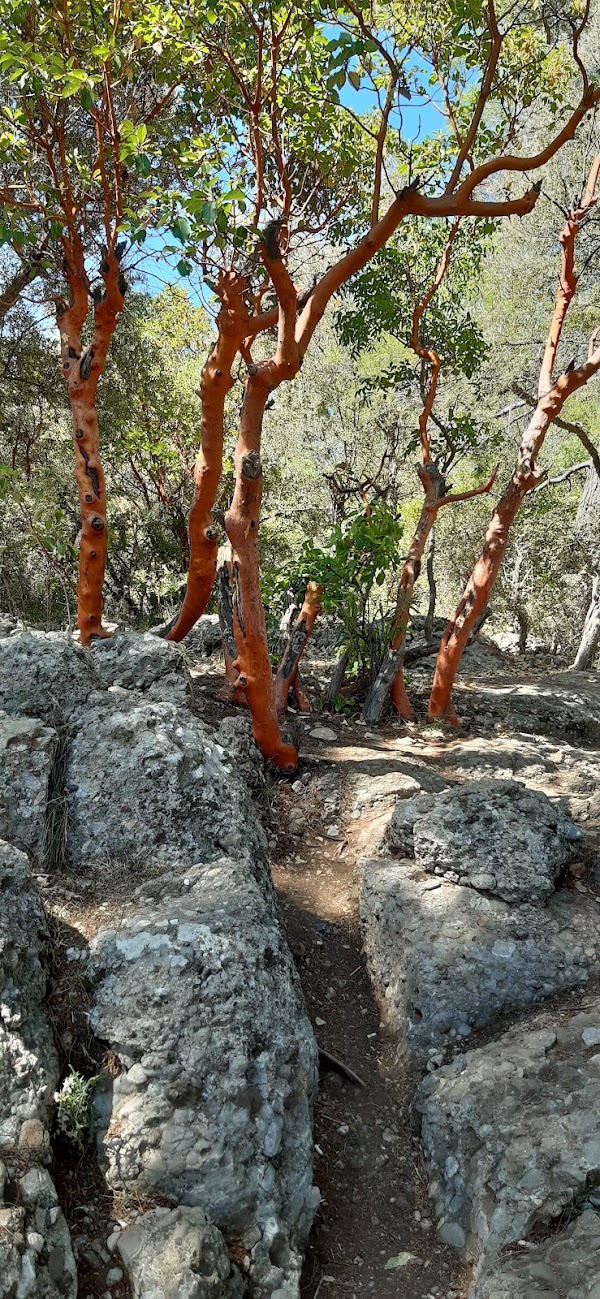 Tazi Canyon 2