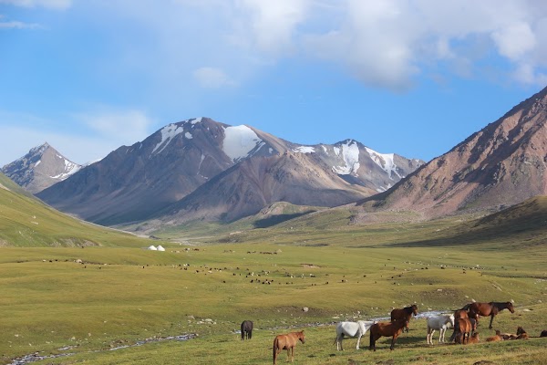 Kol'ukok 5