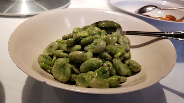 Yongfoo Elite 5