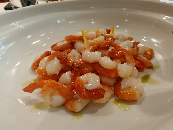 Yongfoo Elite 4