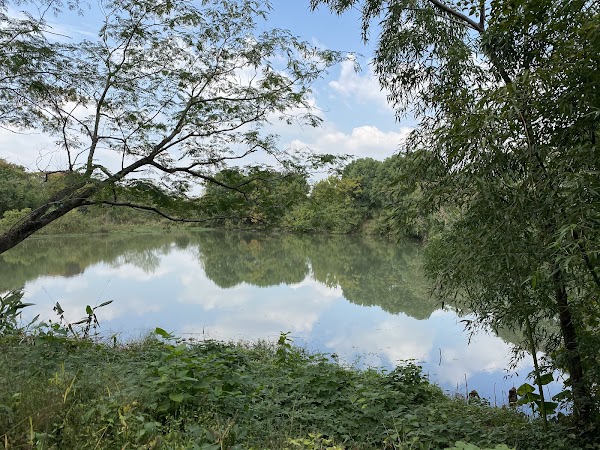 Xixi National Wetland Park 2
