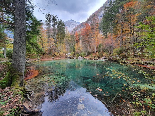 Izvir Kamniške Bistrice