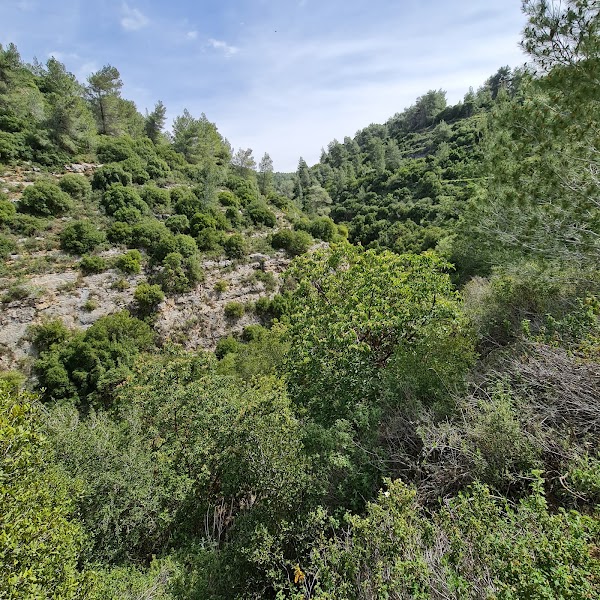 Nahal Sorek Reserve