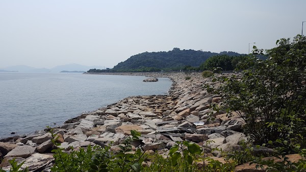 Ma Liu Shui Ferry Pier 3