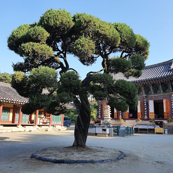 Silleuksa Temple 3