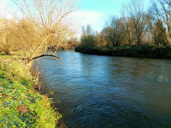 Roer 5