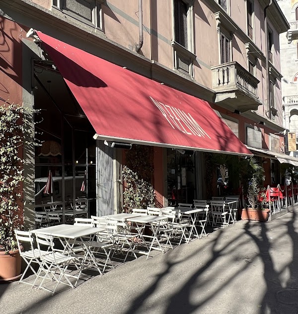 Pizzium - Milano Via Procaccini