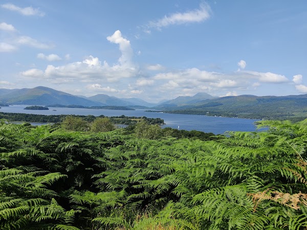 Inchcailloch 1