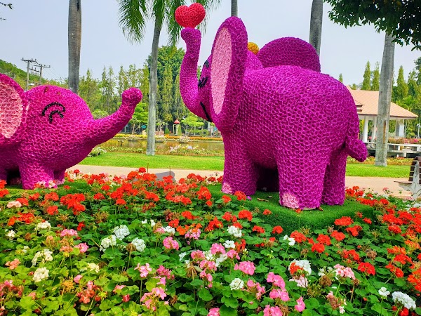 Buak Hard Public Park 2