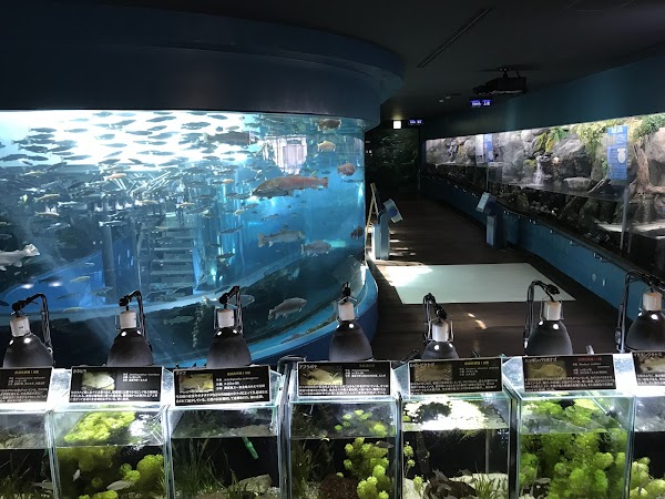 Yamanashi Prefectural Fuji-yuusui-no-sato & Mori-no-naka Aquarium