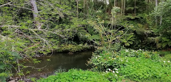 Kerikeri 4