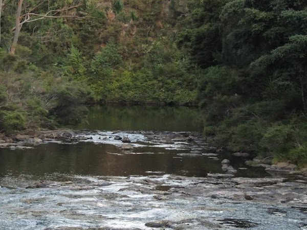 Kerikeri 3