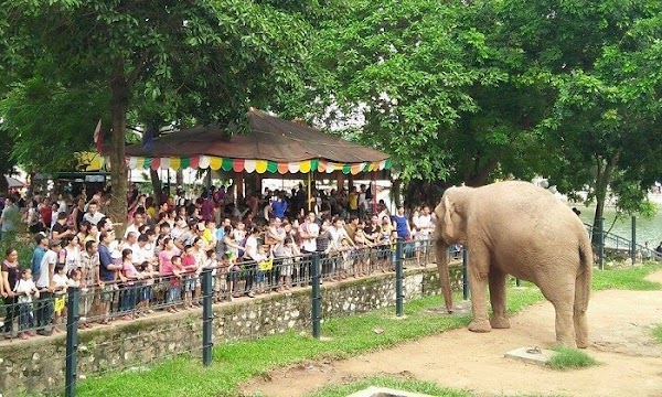 Thu Le Park 2
