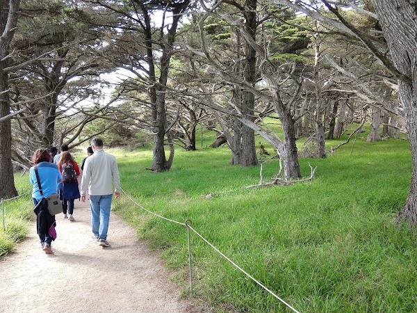 Cypress Grove Trail 5