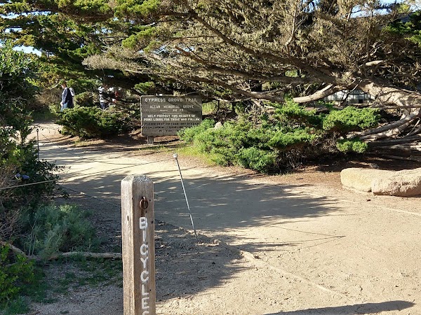 Cypress Grove Trail 4